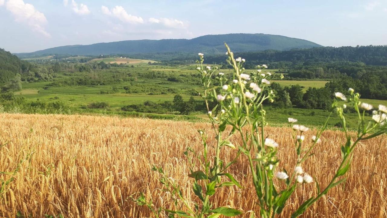 Peace Of Nature *** スルニュ エクステリア 写真